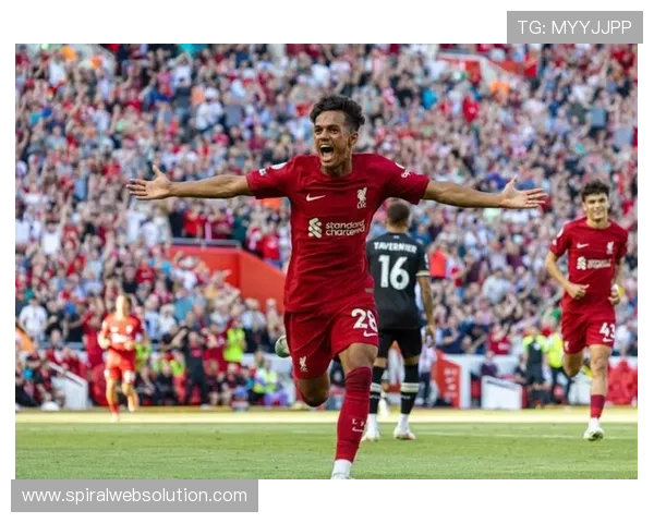 英超免费直播资源全面开放，球迷无需付费即可观看全部比赛内容